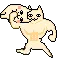 CatCarry