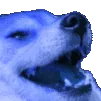 BlurpleKek
