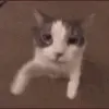 HOW
