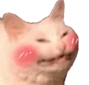 cat_happy_blush cat_happy_blush
