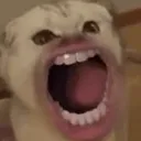 scream scream