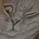 winky