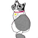 DesiCatDanceIntense