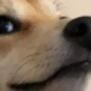 hurB hurB