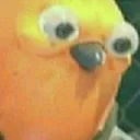 Stare Stare