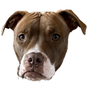 annadoggodaisy Discord emoji