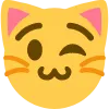 CAT_wink