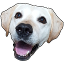 :baha: Discord Emote