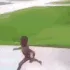 babyrunn