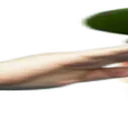 wideKKomrade1