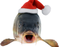 christmas_fish Discord emoji