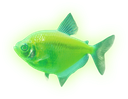 glo_fish Discord emoji