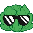 ManyLettuceCool