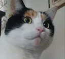 WoahChild WoahChild