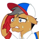 quibble_sweat