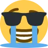 coolsobbing