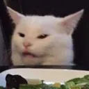 Catreact Catreact