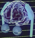 brain brain