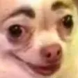 doggocrack doggocrack