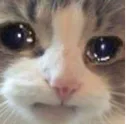 sed_ket