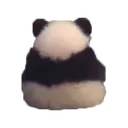 angy