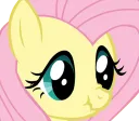 flutterscrunch