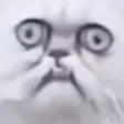 wut