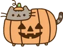 pumpkinp pumpkinp