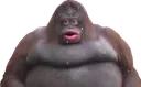 UHOHSTINKY