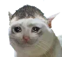 sadboi
