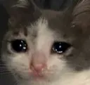 sniffle