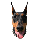 dobermaj Discord emoji