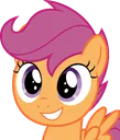 ScootGrin ScootGrin