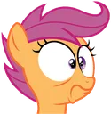 ScootShocked ScootShocked