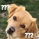 dogwot