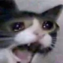 AAAAAA AAAAAA