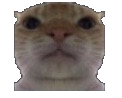 cathi Discord emoji