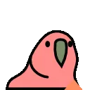 birdlove