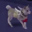 Koromaru_walk