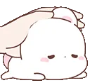 BunBunPAT3