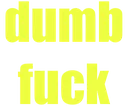 dumbfuck