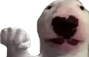 NelsonPunch