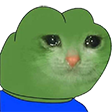 :sadcatpeepo: Discord Emote