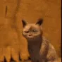 oooh oooh