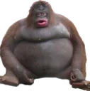 monke