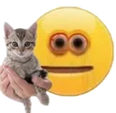 Pussy