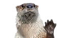otterHi