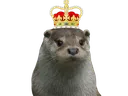otterKing otterKing