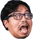 bhallaDucSCREAM