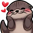 otzBlush